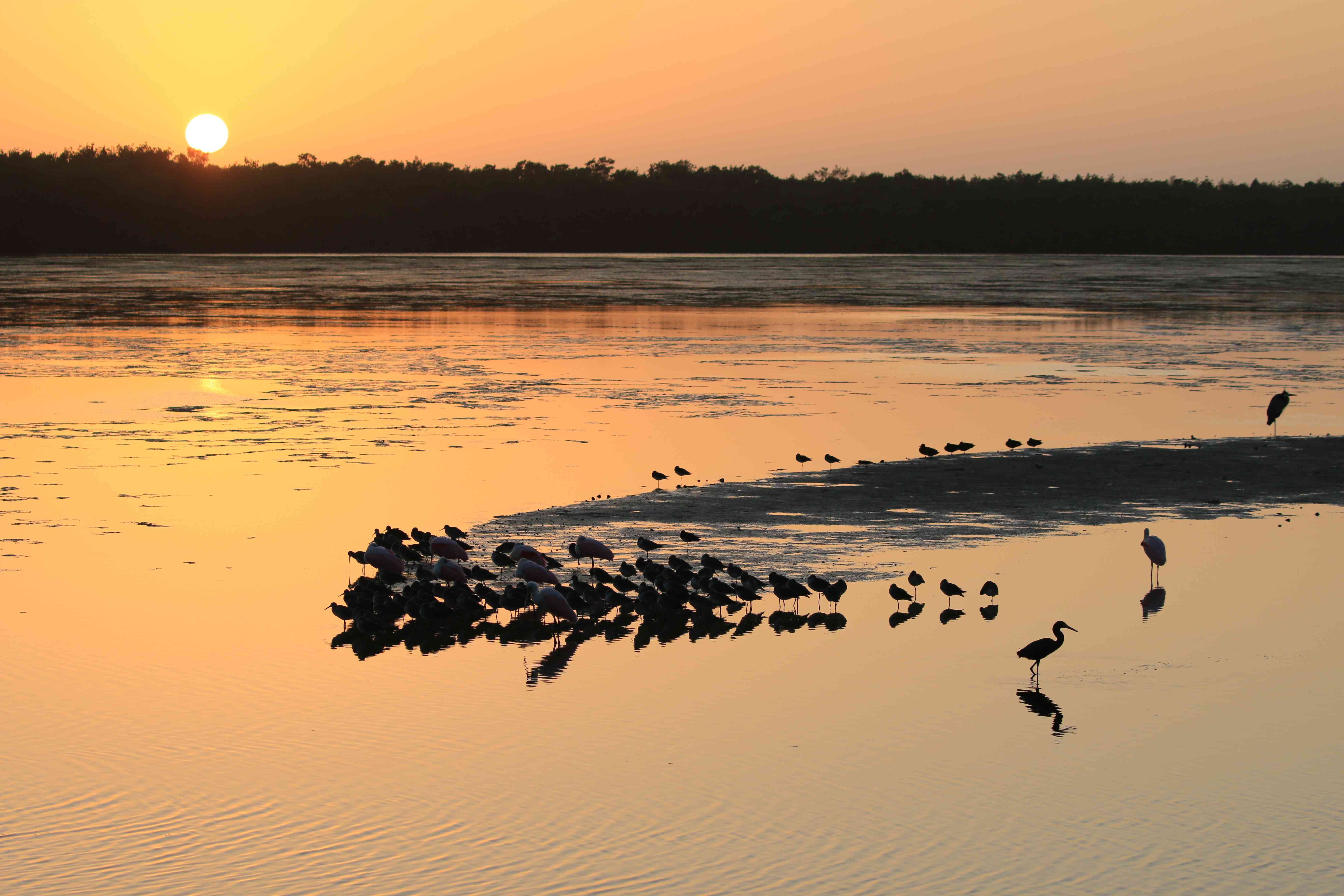 Sanibel Island sunset inland